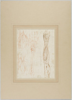 A 039 recto
<br/>
Spier- en skeletstudies van arm en schouder
<br/>
<em>Michelangelo Buonarroti (1475-1564)</em>